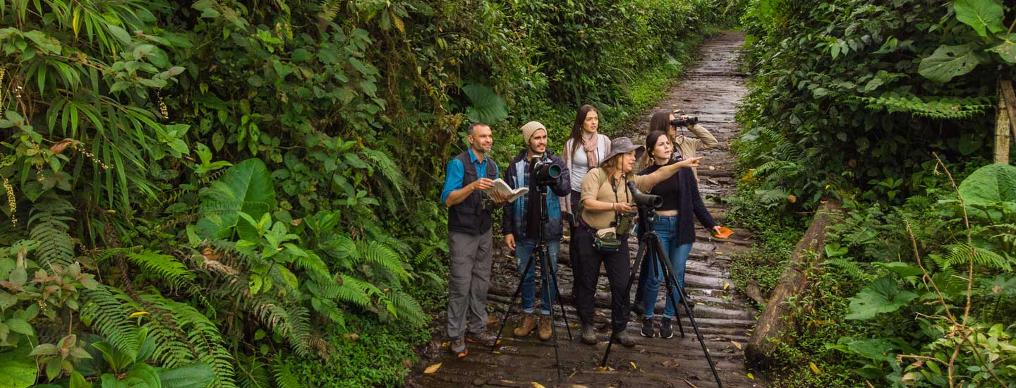 15 fatos interessantes sobre os beija-flores - Visite Costa Rica