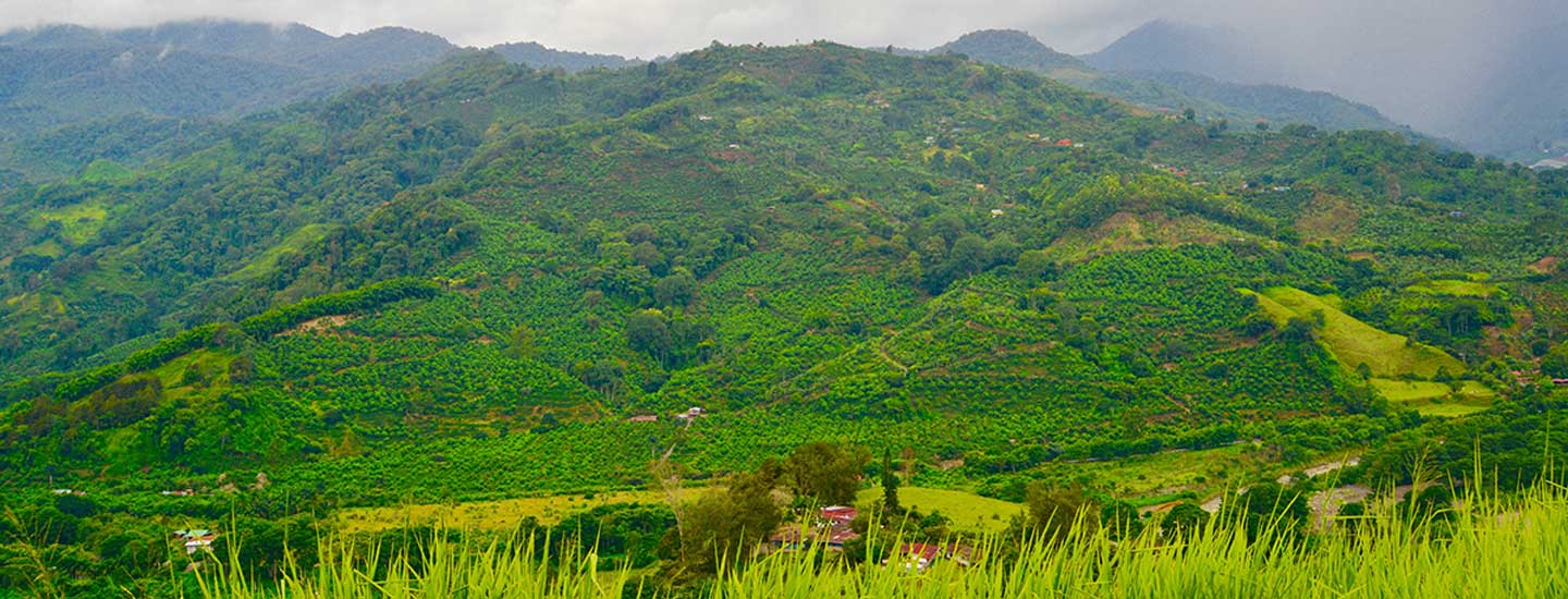 Vamos explorar o Mirador de Orosi - Visita Costa Rica