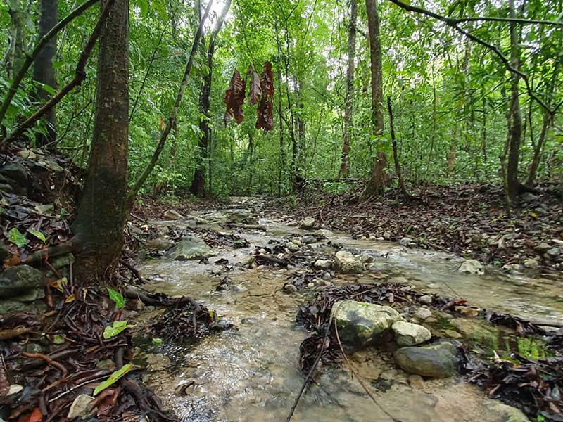 Cabo Blanco Absolute Natural Reserve