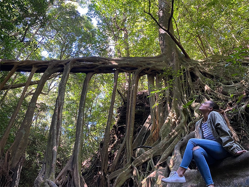 woman sitting next to tree roots above ground