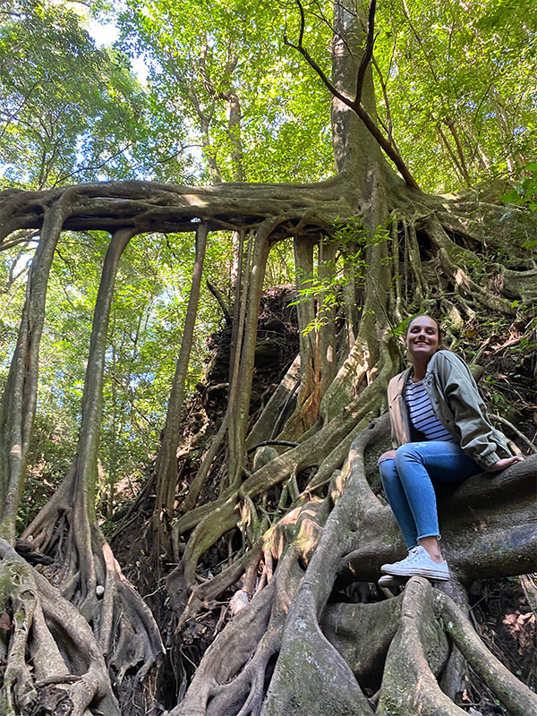 A woman sitting on top of a tree in a forest.