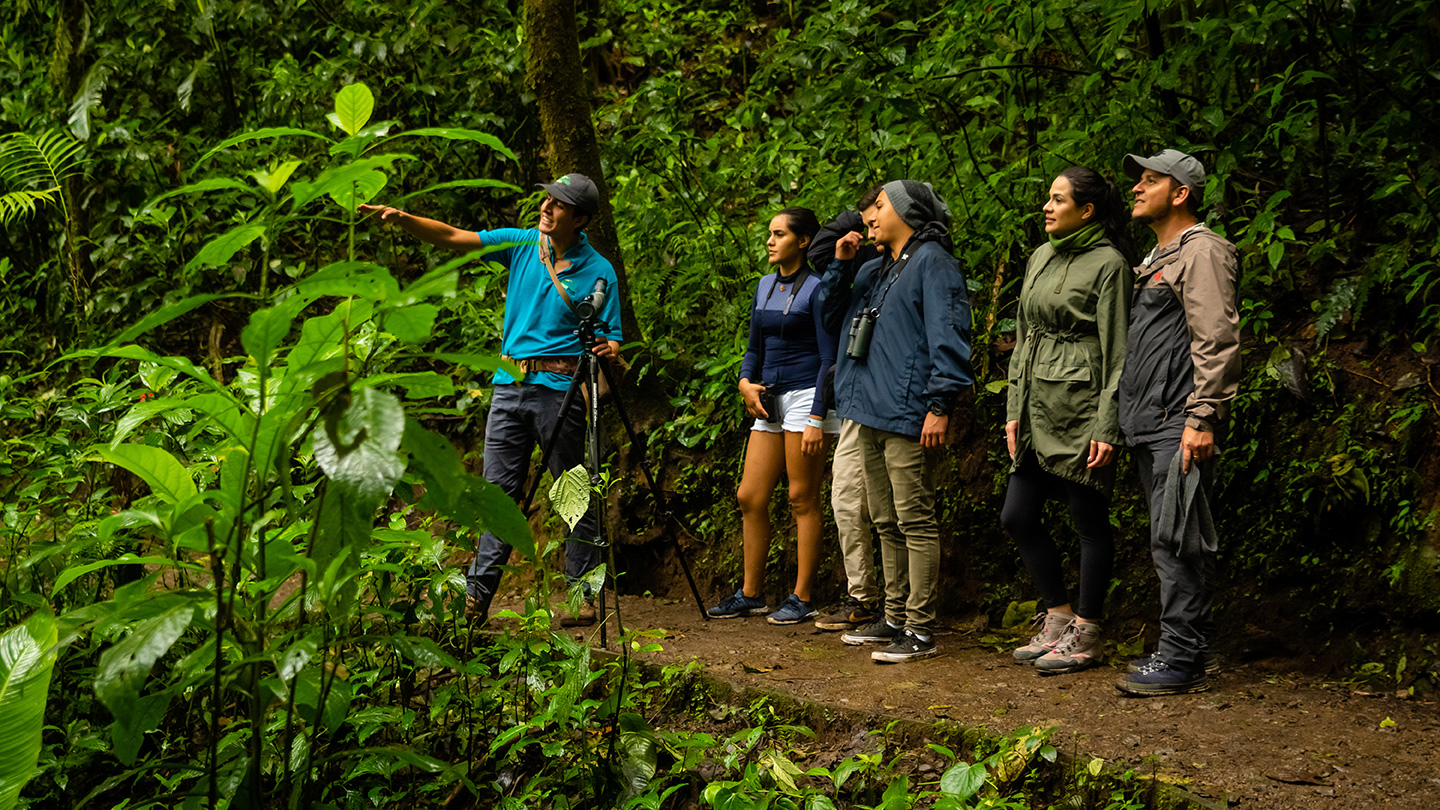 Monteverde Cloud Forest Biological Reserve 