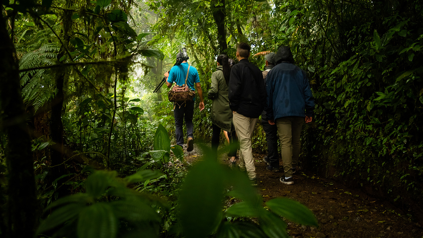 Monteverde Cloud Forest Biological Reserve 