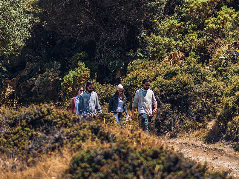 A group of people walking down a dirt road.