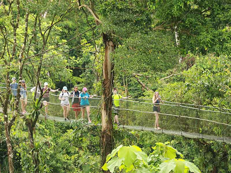 A group of people walking across a suspension bridge.