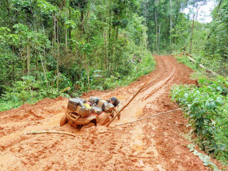 A pile of logs sitting on the side of a dirt road.