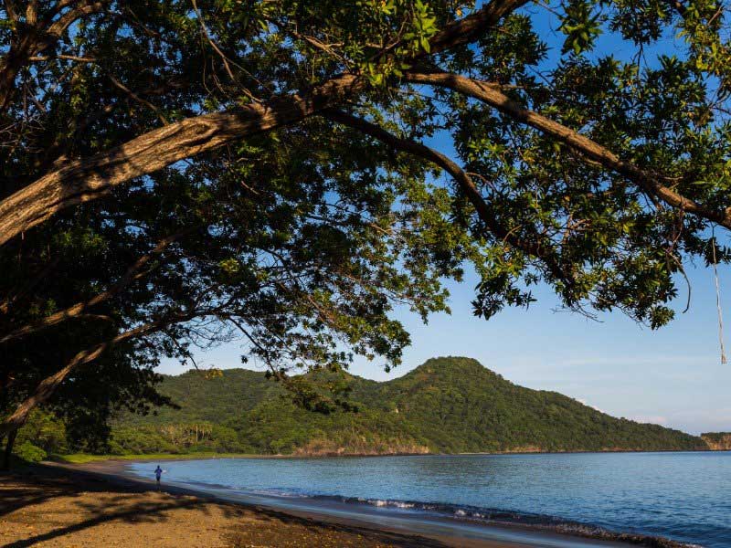 A person walking on a beach next to a body of water.