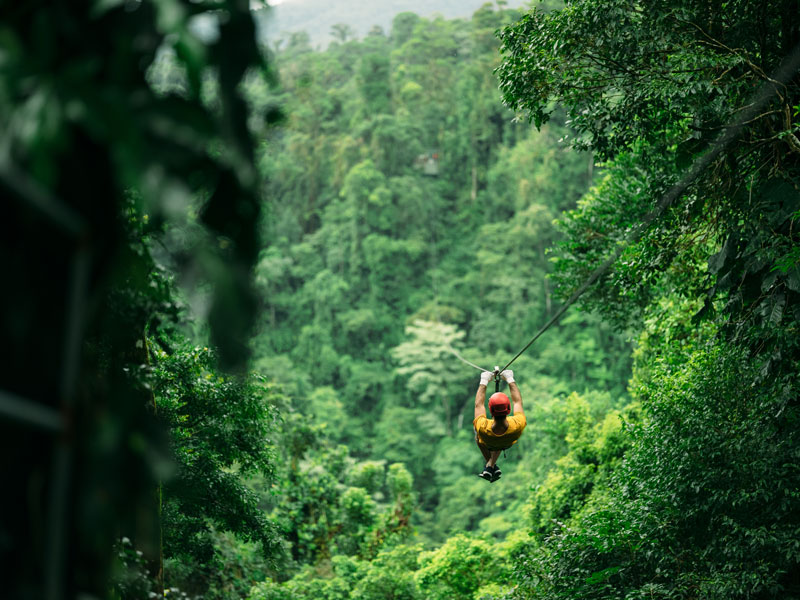 A man riding a zip line in the middle of a forest.