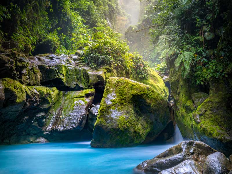 rocks with moss and waterfall in jungle