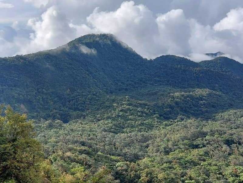 A mountain range with trees and clouds in the background. 