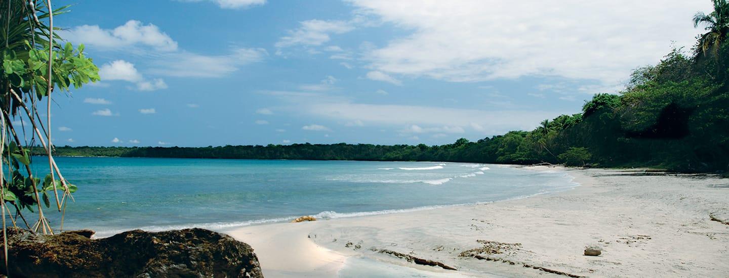 caribbean-2.jpg