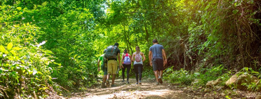 group of people hiking on trail