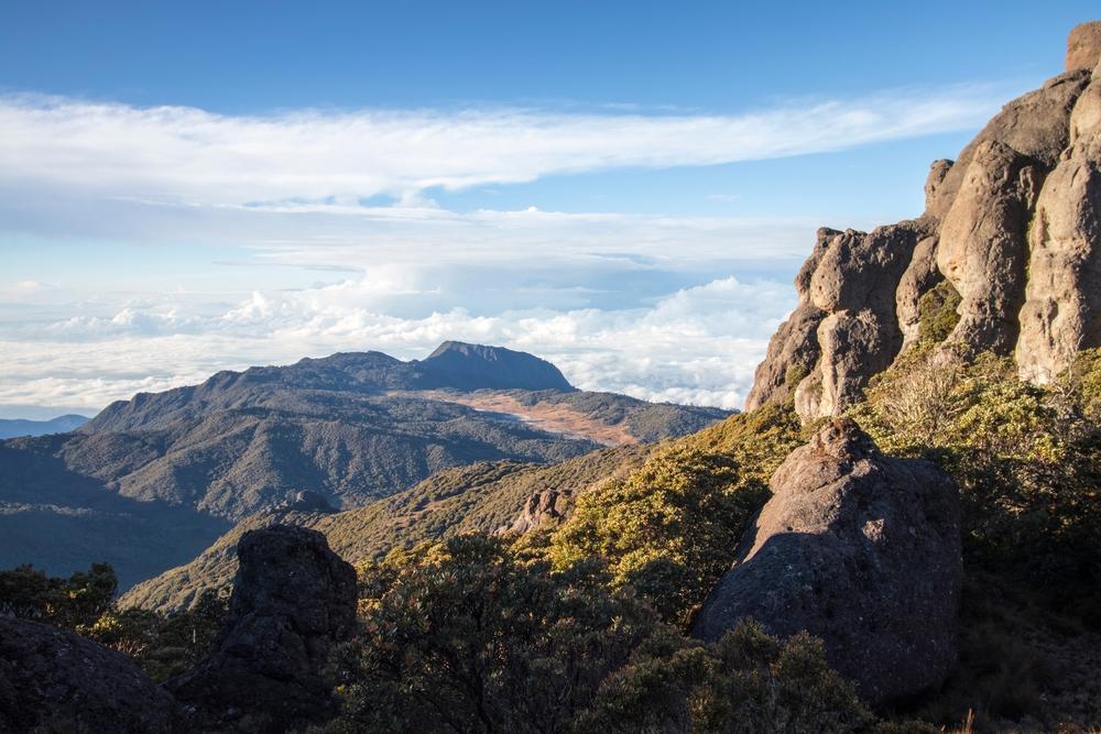 Landscape on a beautiful morning with paramo vegetation in Chirripo National Park