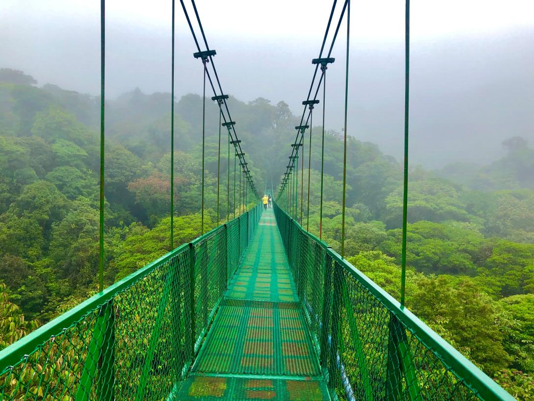 Monteverde Cloud Forest Bridge Walk